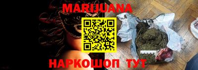 стаф Кингисепп