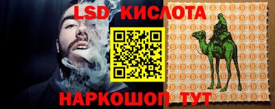 стаф Кингисепп
