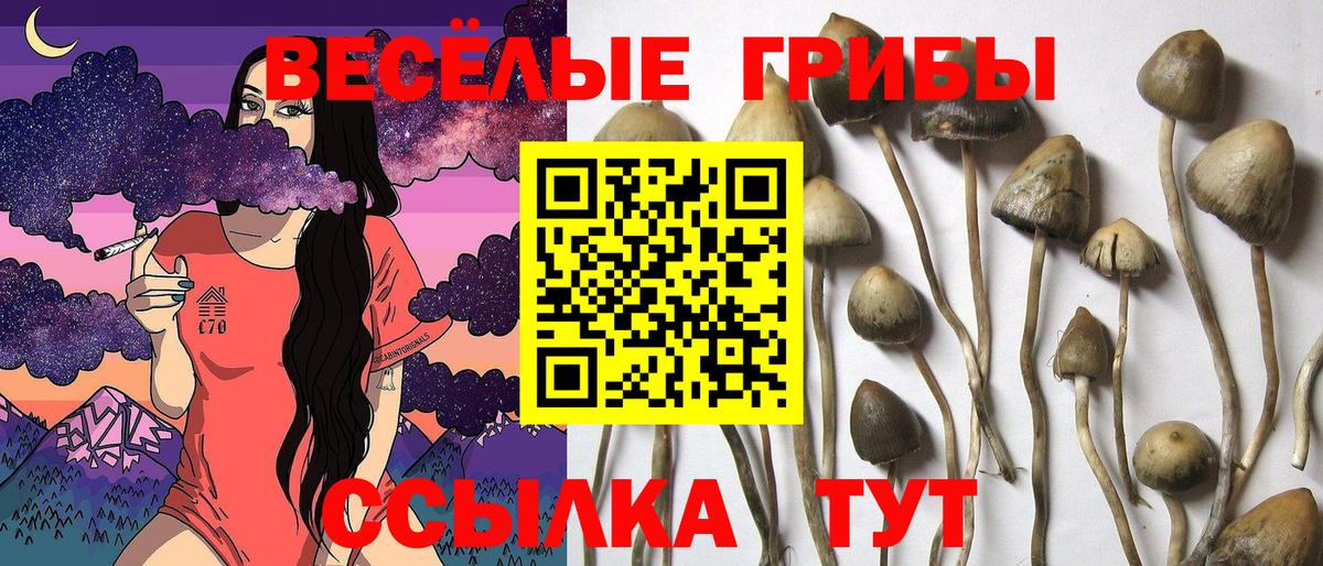 Галлюциногенные грибы Magic Shrooms Ярцево